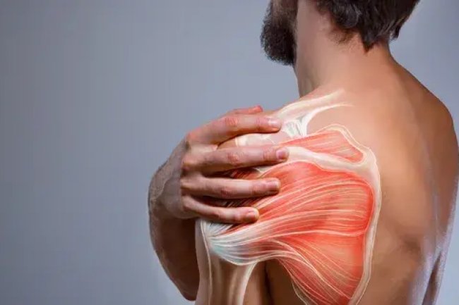 Shoulder Pain – More Than Just a Minor Discomfort