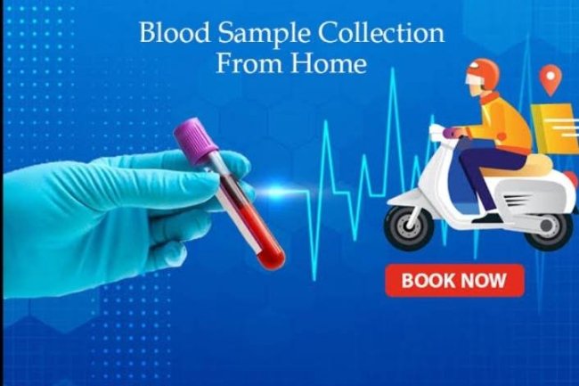 Home Blood Collection in Bangalore: Convenient, Safe, and Accurate Testing at Your Doorstep