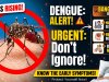 Dengue Cases Are Rising in Bangalore – Early Symptoms You Should Never Ignore