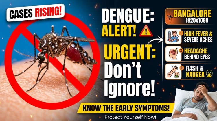 Dengue Cases Are Rising in Bangalore – Early Symptoms You Should Never Ignore